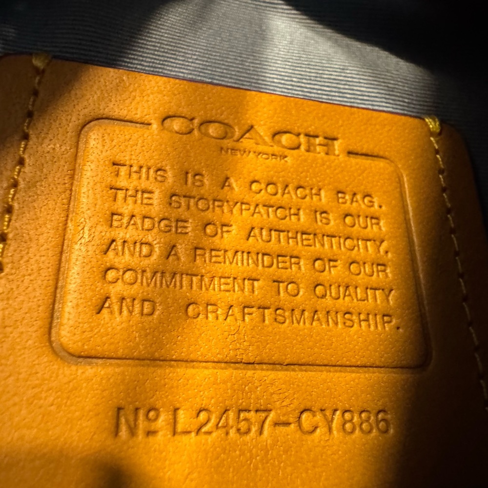 Warren Mini Belt Bag 2024 - Picture 7 of 10